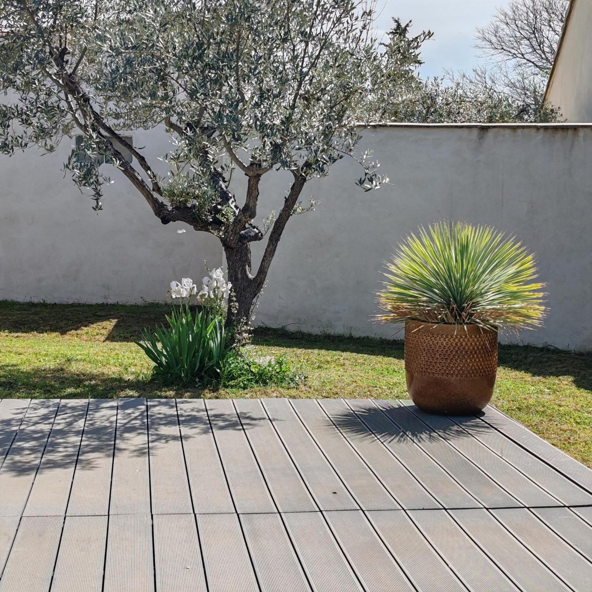 La Maison De Celine Beaumes-de-Venise Exteriér fotografie